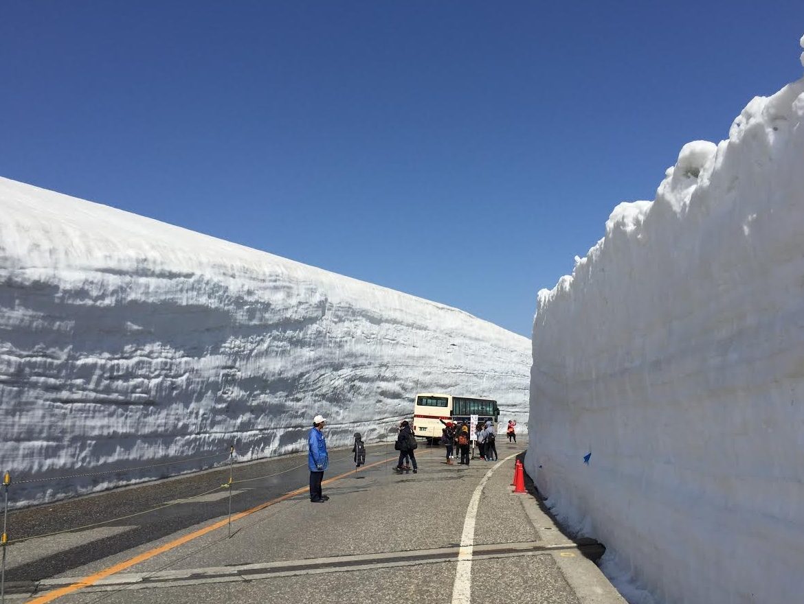 【最新】今年の雪の大谷の写真です。