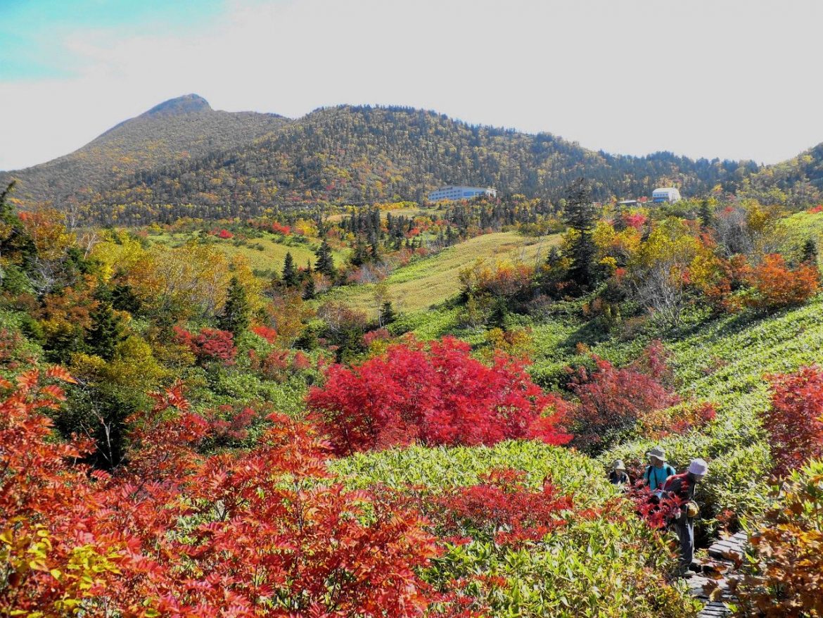 立山の紅葉はいつ頃行けばいい？