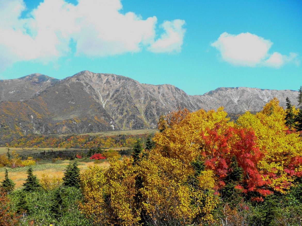 本州最速　立山の紅葉が見頃でつよ～！！