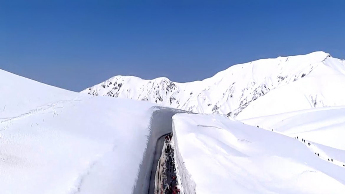 去年より雪壁が高い！アルペンルート全線開通しました！