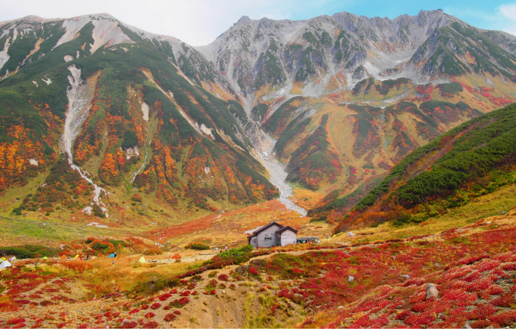 立山の紅葉はいつ頃行けばいい 立山に行こう 立山を思いっきり楽しむガイドサイト 立山黒部アルペンルート総合サイト